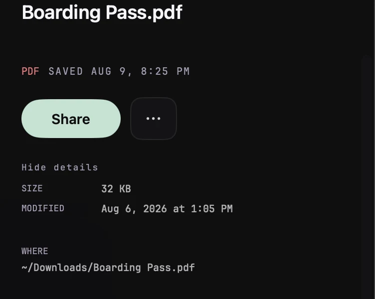 The details beside an open file in Kepter: Boarding Pass.pdf, PDF, 32 KB, modified Aug 6 2026, and a Where row reading tilde slash Downloads slash Boarding Pass dot pdf.